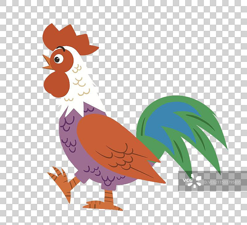 彩色 插画 插图 动物 可爱 大公鸡 走路 鸡 卡通 手绘 元素 免扣图片素材