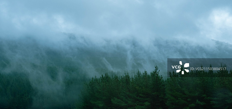 塔斯马尼亚road trip图片素材