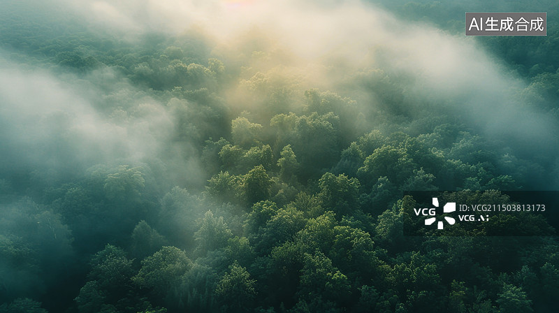 【AI数字艺术】航拍森林图片素材