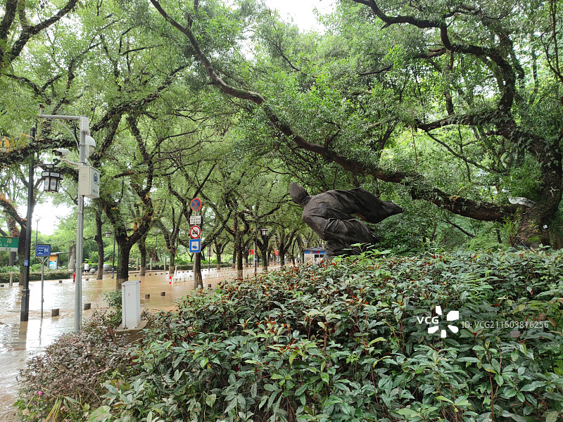 公园里的人图片素材