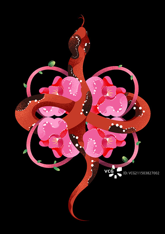 黑色背景上蛇与花组合中国结插画图片素材