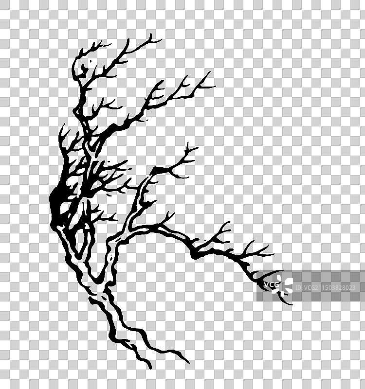 秋天，树木，枯枝，古树，线描，黑白，中国风，古典风格，插画，设计，元素图片素材