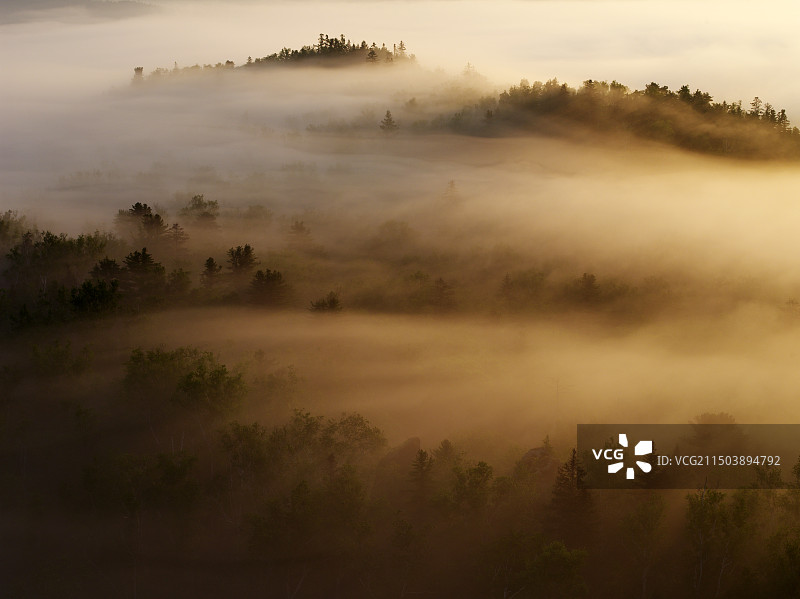 小兴安岭晨雾（2）图片素材
