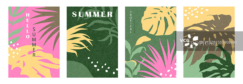 极简热带叶子卡片套装图片素材