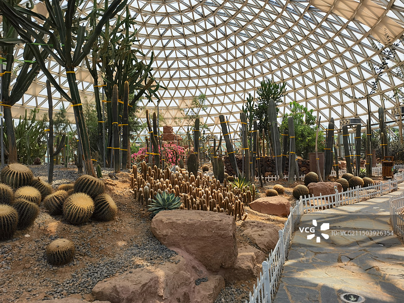 苏州市大阳山国家森林公园图片素材