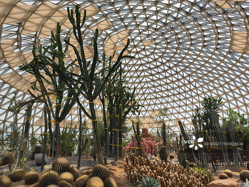 苏州市大阳山国家森林公园图片素材