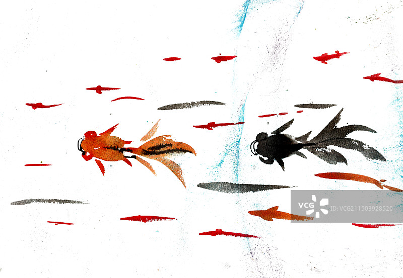 游泳的金鱼图片素材