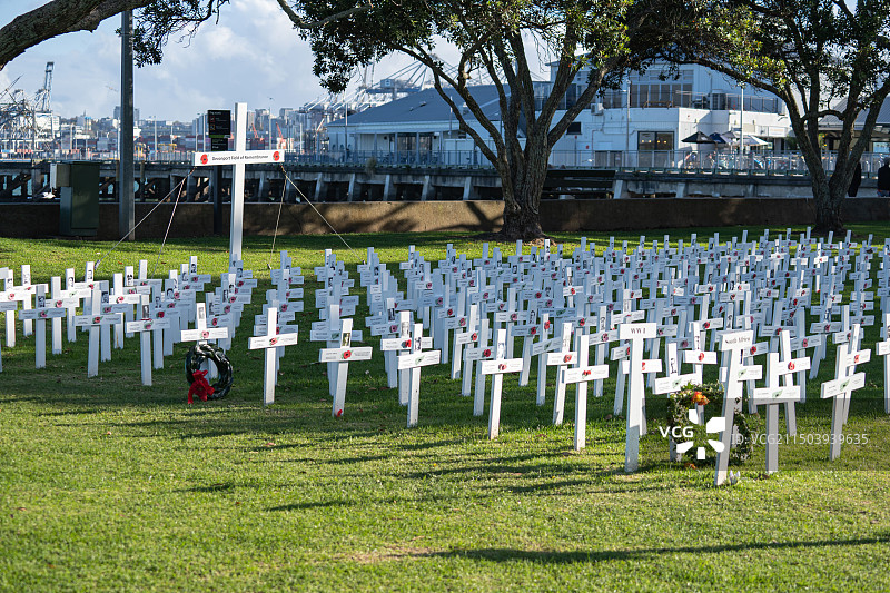 新西兰奥克兰Devonport图片素材