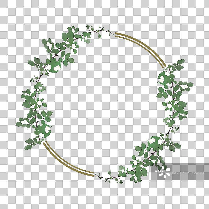 白蔷薇花朵圆形边框素材图片素材