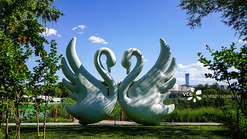 河岸的白天鹅雕塑图片素材