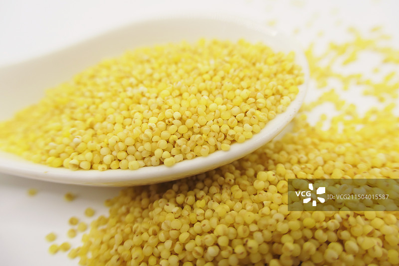 小米，黄小米，黄米，五谷杂粮，粗粮图片素材