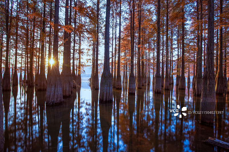 止马岭日出风光图片素材