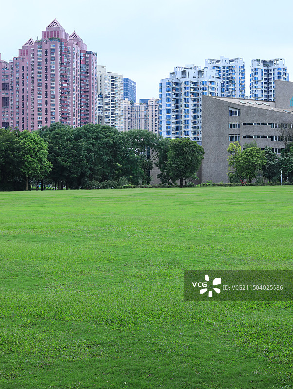 绿色的草坪和城市摩天大楼建筑的风景图片素材