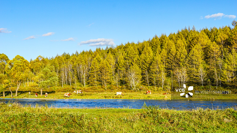内蒙古自治区兴安盟5A景区阿尔山国家森林公园图片素材