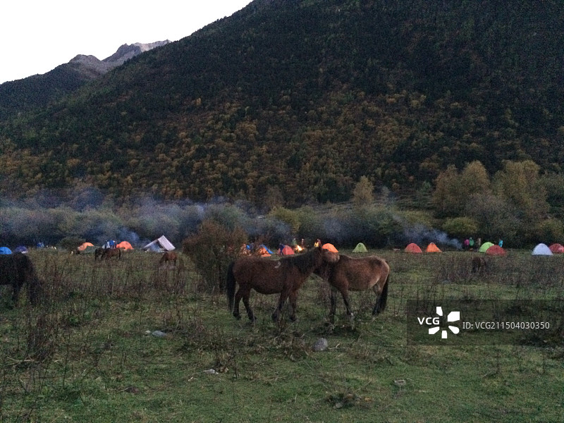 亚拉雪山，蓝天白云，高原湖泊图片素材