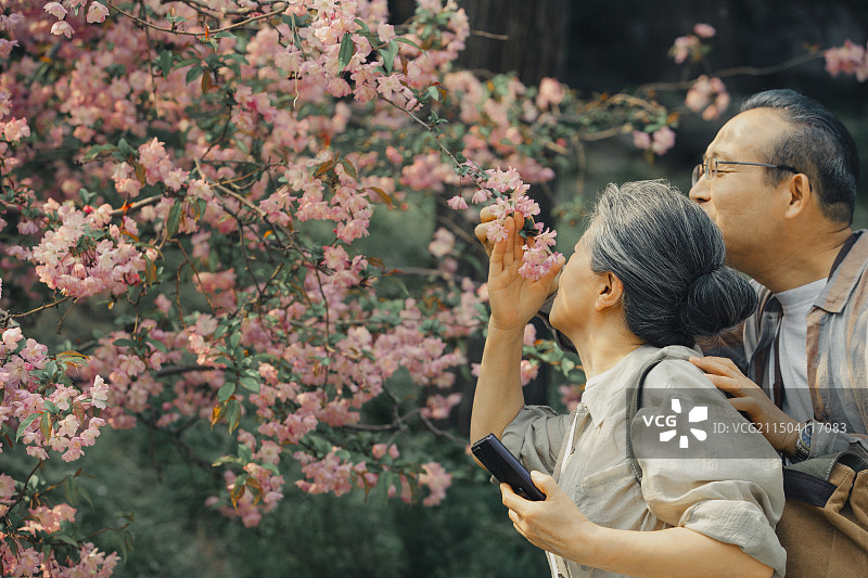 老年人City walk系列:老年夫妇在北京北海公园赏花、闻花香图片素材