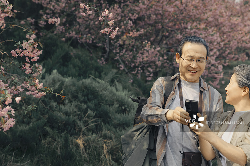 老年人City walk系列:老年夫妻在北京北海公园看手机图片素材