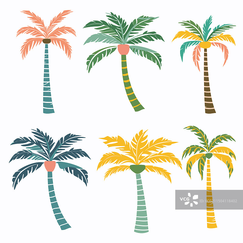 六棵彩色棕榈树热带植物图片素材