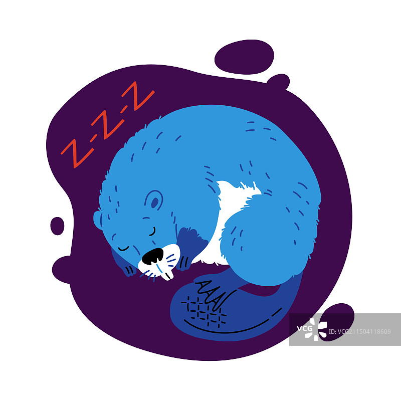 可爱的睡着的河狸图片素材