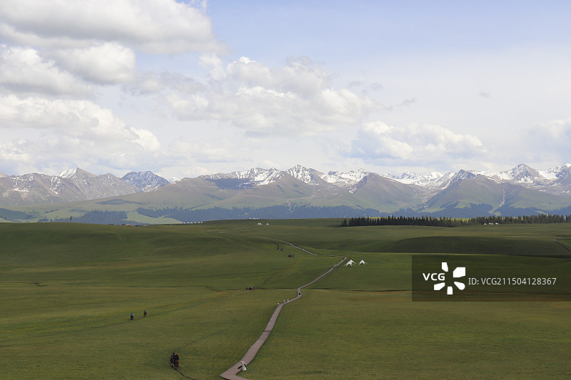 蓝天白云下喀拉峻大草原鲜花台至猎鹰台图片素材