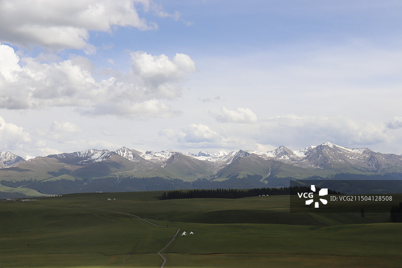 蓝天白云下喀拉峻大草原鲜花台至猎鹰台图片素材