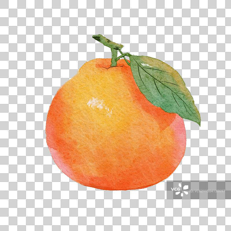 手绘水彩免扣小橙子图片素材