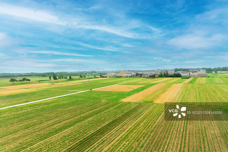 河南中部乡村风光，广袤田野上的村庄图片素材