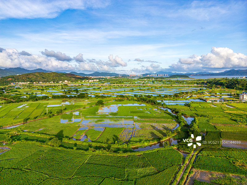 惠州惠东县稔山镇万亩良田，基塘农业图片素材