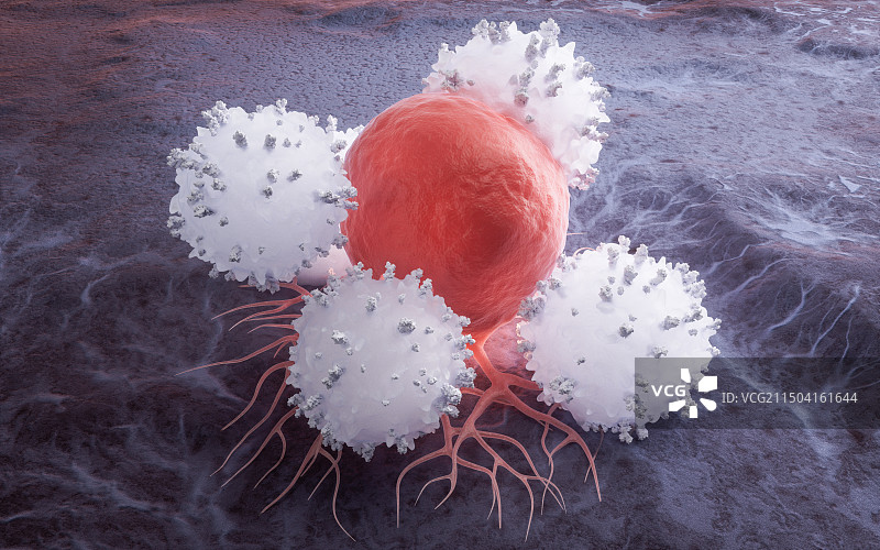 淋巴细胞与癌细胞生物医学三维渲染图片素材