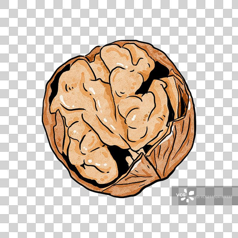 一颗掰开的核桃图片素材