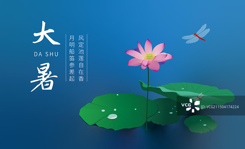 莲花大暑横板图片素材