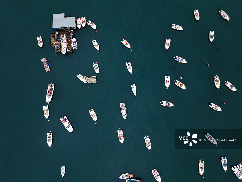 青岛的海图片素材