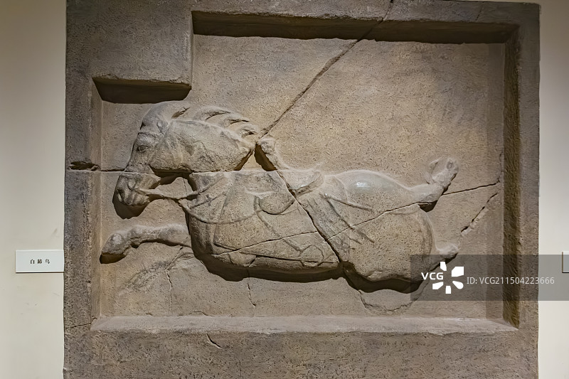 国家博物馆文物唐代李世民墓昭陵六骏白蹄乌浮雕石刻图片素材