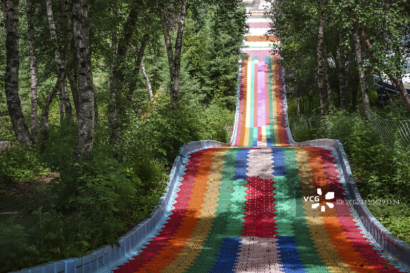 临夏康乐县白桦林景区图片素材