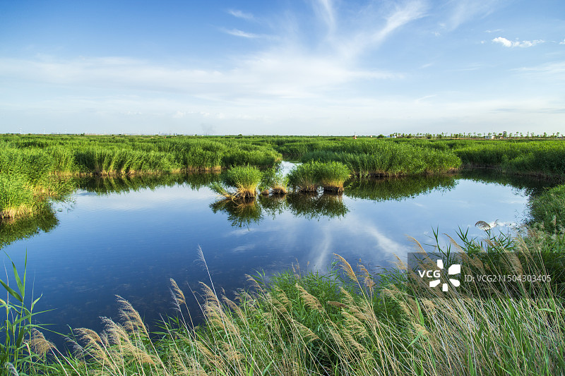 包头南海湿地景区图片素材