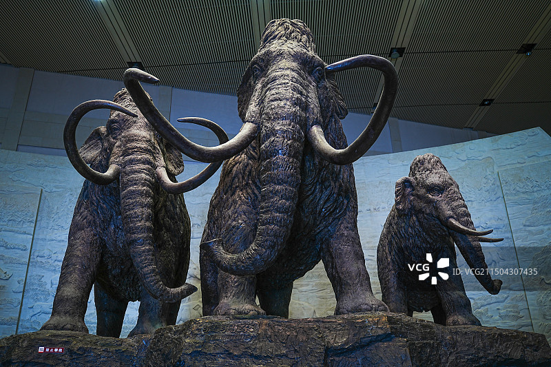 大庆博物馆景区图片素材