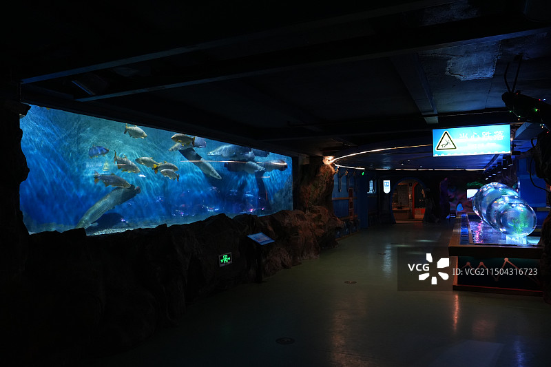 宁波海洋世界图片素材