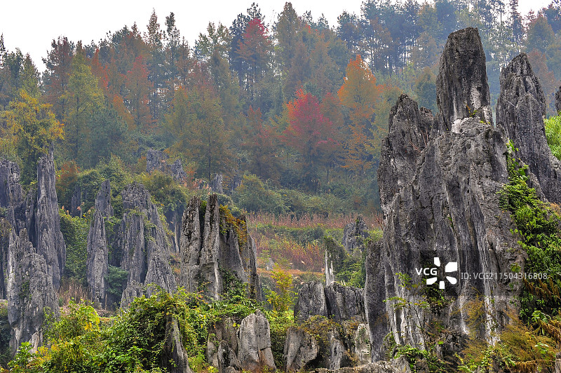 铜仁市思南石林图片素材