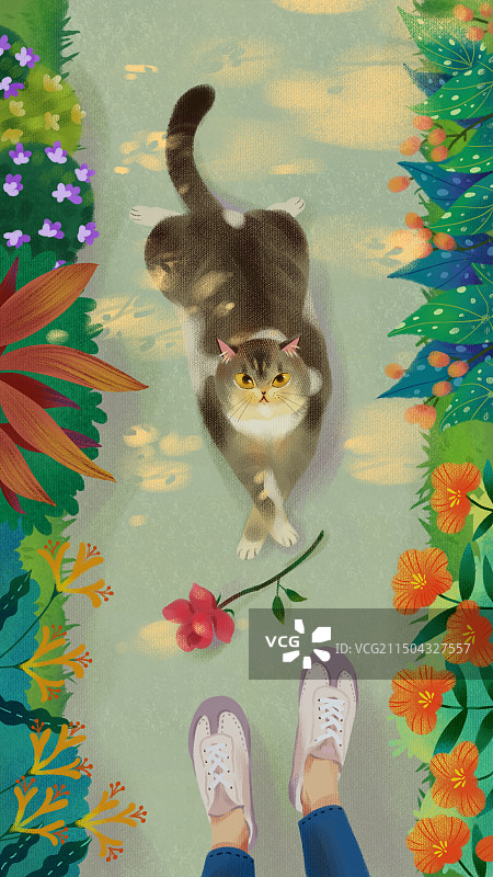 夏日猫咪肥猫花植物系插画图片素材