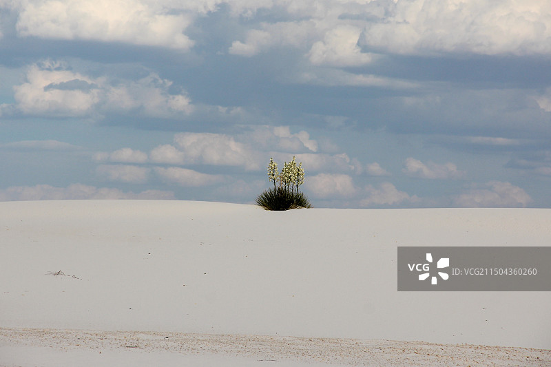 白沙国家公园地理风貌图片素材