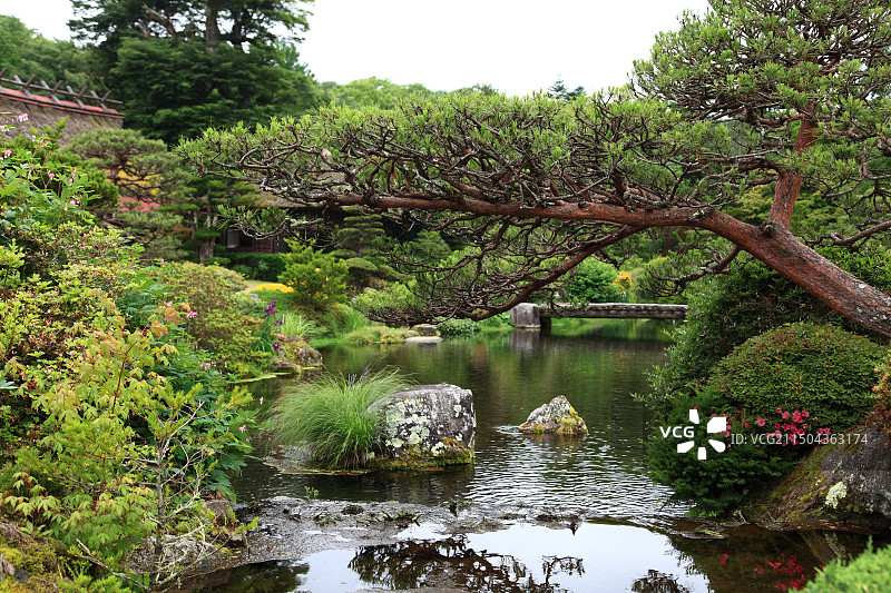 忍野八海里图片素材