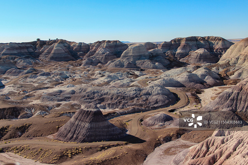 树化石国家公园地理风貌图片素材