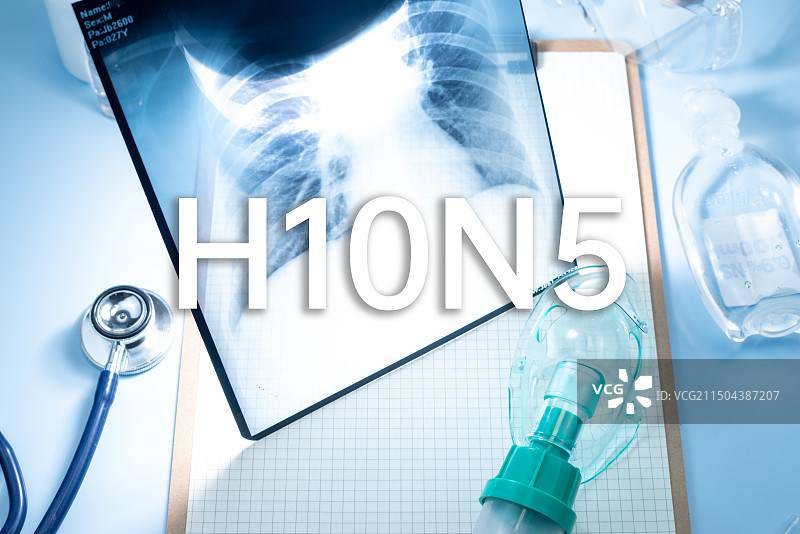 H10N5是一种禽源性病毒，亚型流感病毒概念主题图片素材