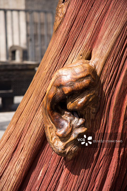太昊陵庙，位于河南省周口市淮阳区中华太昊伏羲始祖圣地旅游区，全国重点文物保护单位图片素材