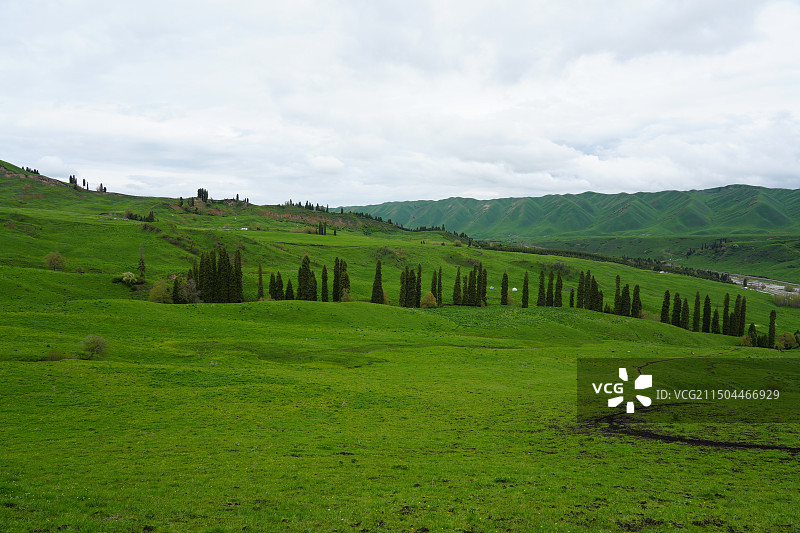 新疆雨后恰西画卷图片素材