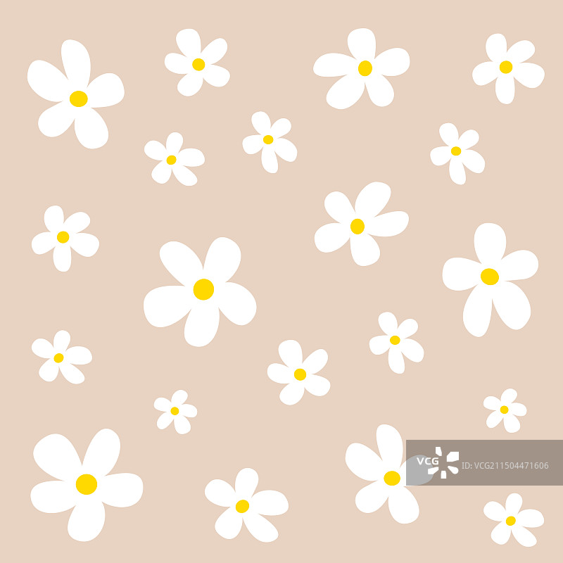 雏菊花朵图案白色甘菊图片素材