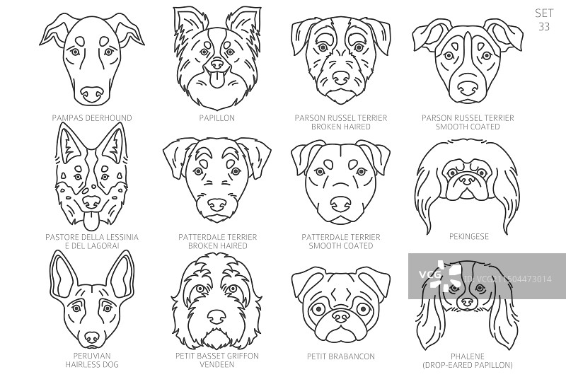 按字母顺序排列的狗头剪影图片素材