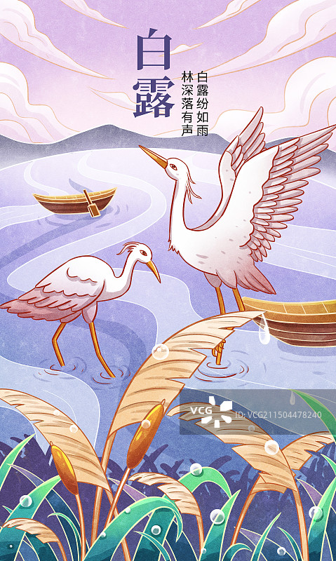 手绘白露芦苇白露小舟插画海报图片素材