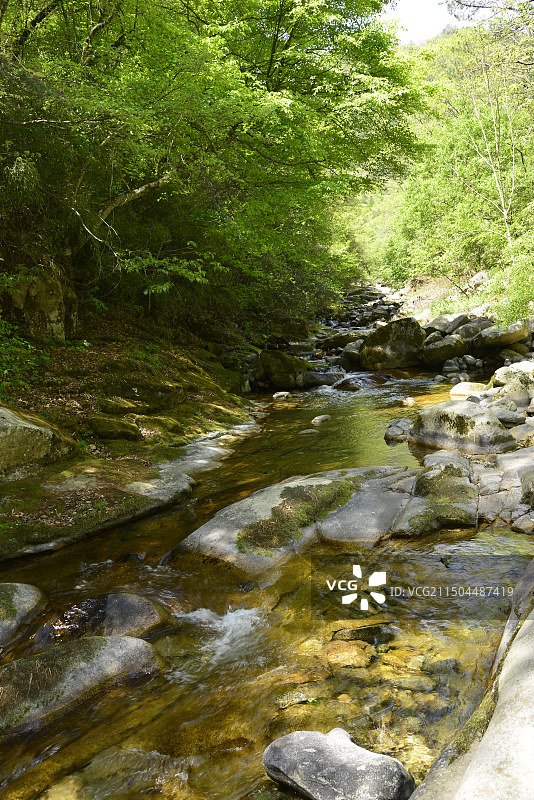 秦岭深处的小县城，大熊猫故乡，禅意佛坪，汉中最美度假地，熊猫谷图片素材