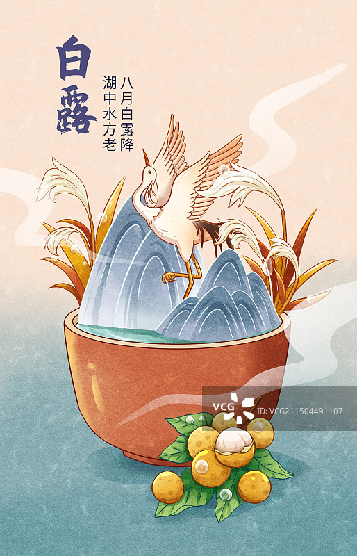 手绘白露露水白鹭芦苇山水龙眼插画海报图片素材